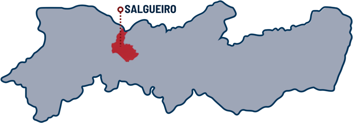 Mapa do Sertão Pernambucano com Salgueiro em destaque